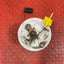 Renault Kangoo/Mercedes Citan FUEL SENDER 1.5 2007-2021 P/N 172027726R