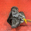 Renault Trafic/Vauxhall Vivaro STARTER MOTOR 1.6 2014-2019 P/N 233009590R - 1