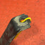 Ford Transit Custom FUEL TANK STRAP 2019-2023 2.0 P/N BK219092AE