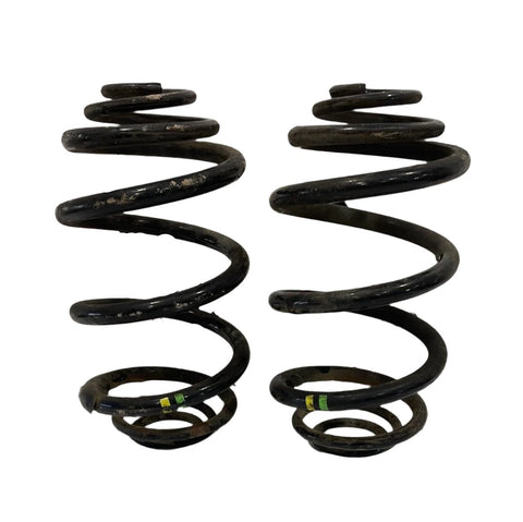 Vauxhall Vivaro/Renault Trafic REAR COIL SPRINGS (PAIR) 2016 P/N 550202870R