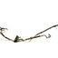 Ford Transit Custom HIGH & LOW POWER STEERING PIPE LINE 2.0 2016-2023 P/N GK213A713BD/GK213E586BC