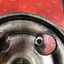 Citroen Berlingo/Peugeot Partner  POWER STEERING PUMP 2008-2011  P/N 9637000880