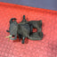 Ford Transit REAR BRAKE CALIPER Driver's Side 2.2 MK7 FWD 2010 P/N 6C112552AD