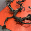 Vauxhall Vivaro/Citroen Dispatch/Peugeot Expert/Toyota Proace/Fiat Scudo ENGINE WIRING LOOM/ENGINE WIRING HARNESS 1.5 2016-2024 P/N 9811043980 - 1