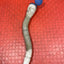 Citroen Berlingo/Peugeot Partner WINDSCREEN WASHER RESERVOIR PIPE w/ CAP 2008-2018 P/N 9637915780