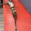 Ford Transit Custom FWD ELECTRIC STEERING RACK Mk8 2014-2019 P/N KK213D070DP
