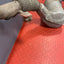 Ford Transit Custom Mk8 2.0 DPF CATALYTIC CONVERTER (2018-2023) P/N JK215F297AD