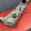 Ford Transit Custom Mk8 2.0 DPF CATALYTIC CONVERTER (2018-2023) P/N JK215F297AD