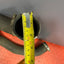 Citroen Berlingo/Peugeot Partner/Vauxhall Combo/Toyota Proace City TURBO INTERCOOLER HOSE 1.5HDi 2019-2023 P/N 9820100780