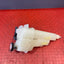 Toyota Hilux COOLANT RESERVOIR/EXPANSION BOTTLE 2016-2023  P/N 166400E010