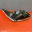 Ford Transit Custom HEADLIGHT ASSEMBLY Passenger's Side 2013-2016 P/N BK2113D153B