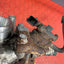 Citroen Berlingo/Peugeot Partner TURBOCHARGER with ACTUATOR (3 Pin) 1.6 2008-2016 P/N 9673283680 - 18