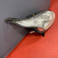 Ford Transit Connect HEADLIGHT ASSEMBLY Mk2 2014-2018 Driver's Side P/N DT1113W029BC