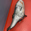 Ford Transit Connect HEADLIGHT ASSEMBLY Mk2 2014-2018 Driver's Side P/N DT1113W029BC