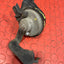 Citroen Berlingo/Peugeot Partner HORN 2019-2023 P/N 9827899180